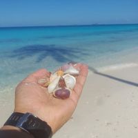 Domenico Paternuosto's Photo