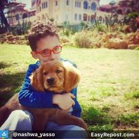 Nashwa Ahmed's Photo