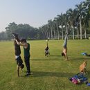 Calisthenics, Gymnastics & Mobility Workshop's picture