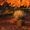 moussa sellamna's Photo