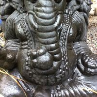 Fotos de Sharon Faulkner