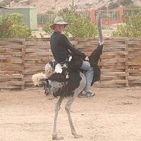 Ryan Makings的照片