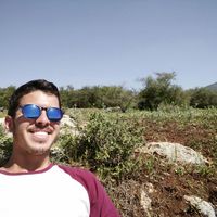 David Glüzman's Photo