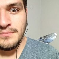 Fotos de Oğuz Bayatum