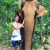 Nico Calvet的照片