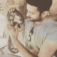 Фотографии пользователя Ammar Baig