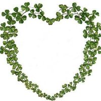 Photos de Eileen Trnka