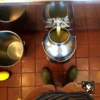 Steven Googin's Photo