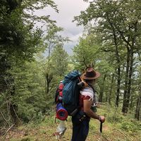 Akbar Jafari's Photo