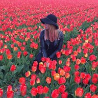 Фотографии пользователя Alexandra Macskasy