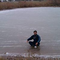 Arash Mousavi's Photo