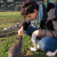 Sara Sansovini的照片