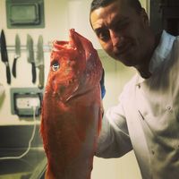 Iliyan Иванов的照片