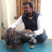 Bhargava J Gowda's Photo