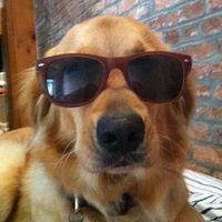 Kyle Weadock's Photo