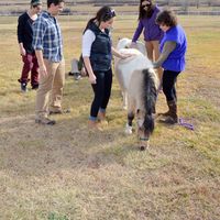 Photos de Mariah Stotsky