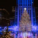 Lighting of SPRUCE Tree at the Rockefeller Center's picture