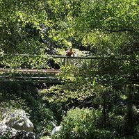 Daniel Vazquez's Photo