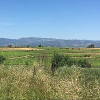 Pauline Soulié-Borras's Photo