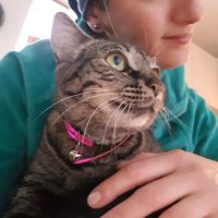 Georgia Lamprou's Photo