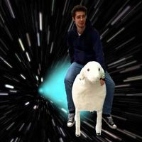 Julian Vishah的照片