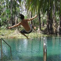 Tom Van de Wiele的照片