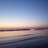 Kimi Hektorovic的照片