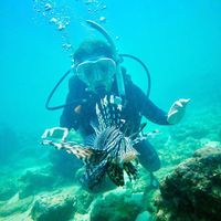 Andrea Ardila's Photo