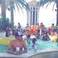 Anıl Ercan的照片