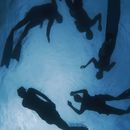 Freedive Practice 's picture