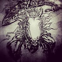 Maier Florin的照片