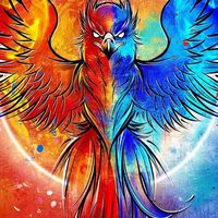 Félix Roman's Photo