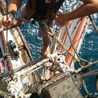 corentin ha的照片