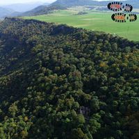 Aren Yeranosyan's Photo