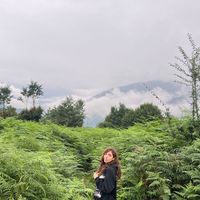 Negar Etebar's Photo