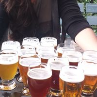 JungleJulia Barreto的照片