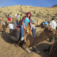 Art Abramov的照片