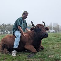 Фотографии пользователя Jahdri Adriaensen