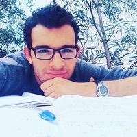 Mohamed Amine  Selmi的照片