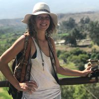 iris wannemacher的照片