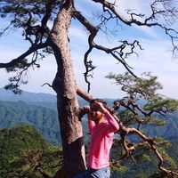 Henry Bender的照片