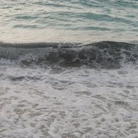 milad atabaki's Photo