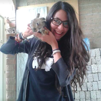 Giselle Andonie's Photo