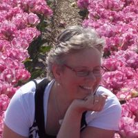 Jose Blokker的照片