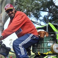 NICOLAS BONAMICO's Photo