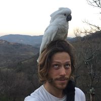 Photos de David Burvill