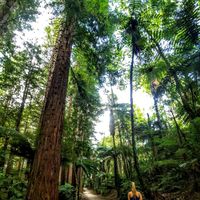 Fotos de Sara Borgioni