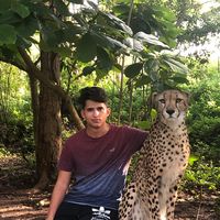 Zdjęcia użytkownika Petar Peric