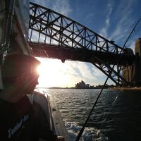 Andrew Chau的照片