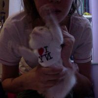 LiSa Ciccalè's Photo